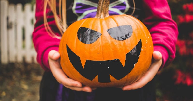6 Family-Friendly Halloween Activities Near Bradenton