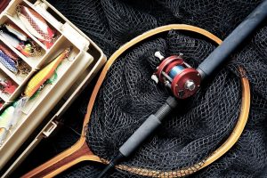 5 Sportfish You’ll Find in Sarasota Riviera Dunes Marina Blog