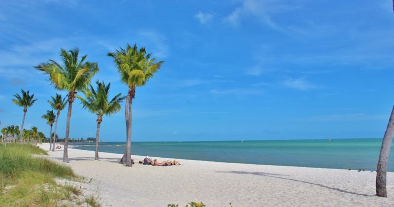 Get to Know the Islands and Beaches of Sarasota