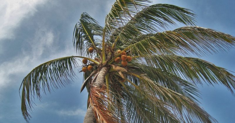 Travel Tips: Hurricane Preparedness for the 2018 Season