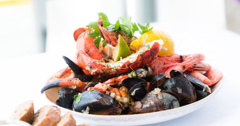 Dive Into Sarasota’s Tastiest Seafood Spots