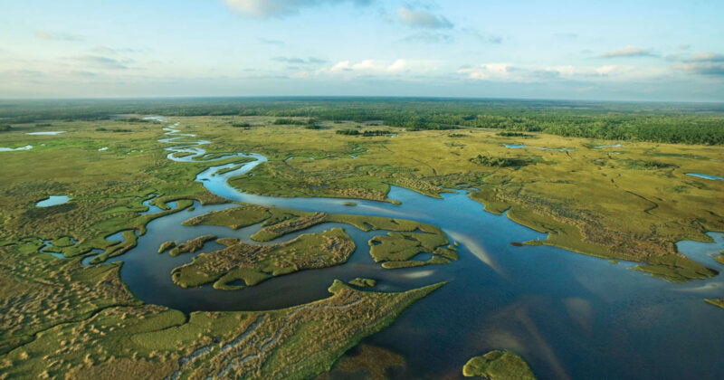 Everglades Funding Will Likely Boost Florida’s Fishing Tourism