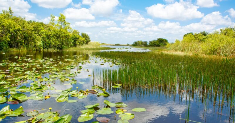 Weekend Trip: Pole Boating In The Everglades
